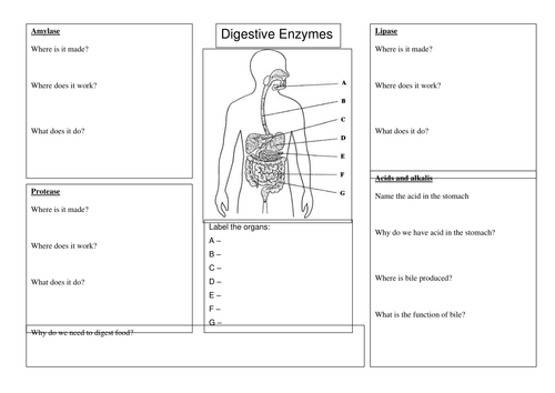 KS4 AQA New 2016 B3 L7 Efficient digestion
