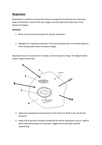 Respiration - a basic introduction