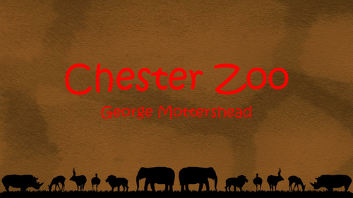 George Mottershead, A history of Chester Zoo