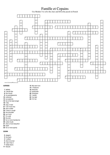 Crossword based on unit 3 Métro red - Famille et Copains - in French -challenging!