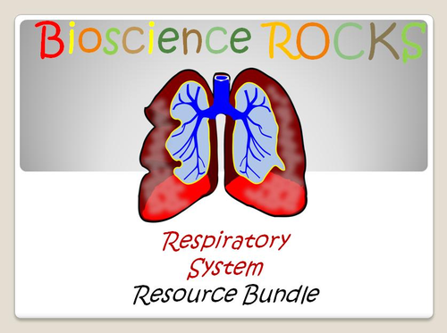 Lungs & Respiratory System
