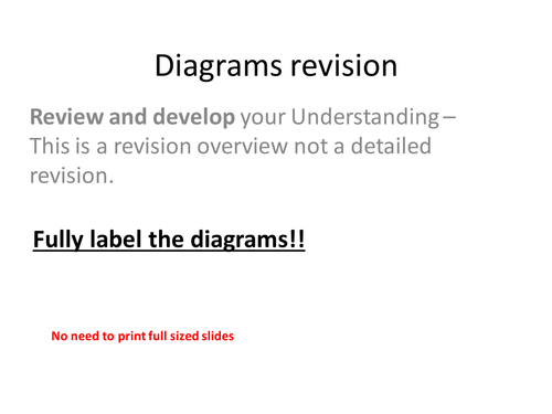 AS-Yr1 - Diagram revision activity
