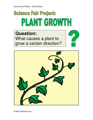 Science Project - Plant Growth