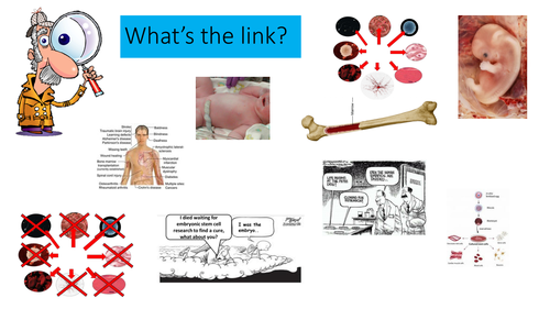 KS4 AQA New 2016 B2 Cell division revison PPT and notes