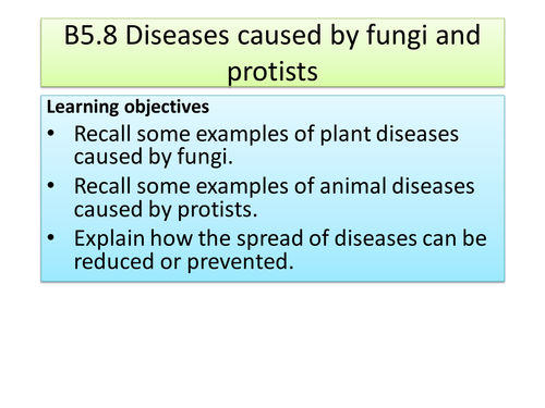 Diseases Caused By Fungi And Protists Communicable Diseases New Aqa Teaching Resources