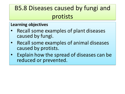 Diseases caused by fungi and protists - Communicable diseases new AQA