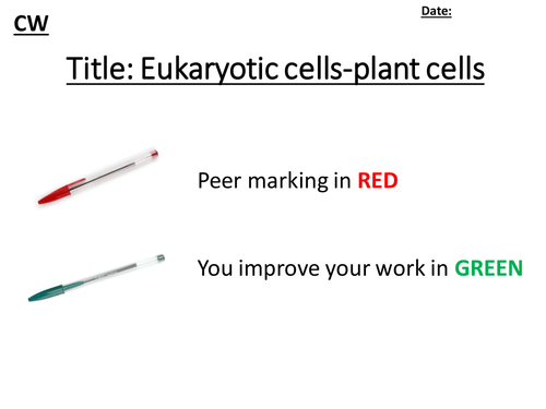 B1 GCSE 9-1 edexcel plant cells