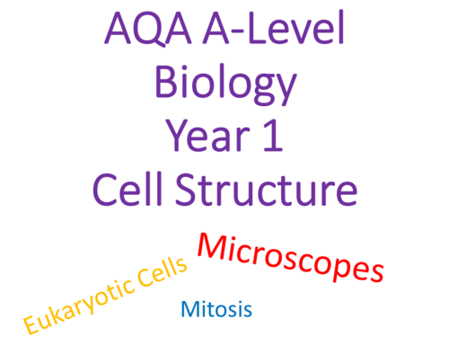 AQA Year 1 Biology Chapter 3 - Cell Structure