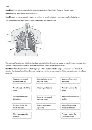 KS4 AQA New 2016 B4 Organising animals and plants L5 Breathing and gas exchange