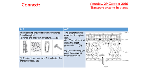 KS4 AQA New 2016 B4 Organising animals and plants L7 Plant transport
