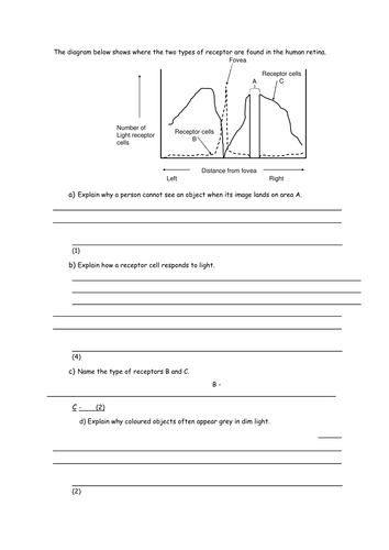 AQA Alevel biology Topic 6 Retina, rods and cones