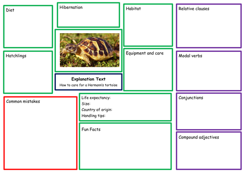 Hermann's tortoise explanation text planning guide. Editable