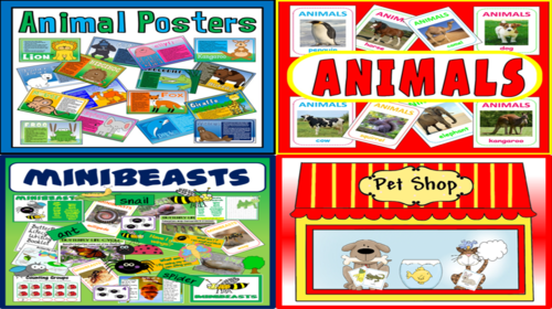 *ANIMALS BUNDLE* ANIMAL FLASHCARDS, POSTERS, PETS, SHOP ROLE PLAY, MINIBEASTS - EARLY YEARS, KEY STAGE 1-2, INSECTS, SCIENCE