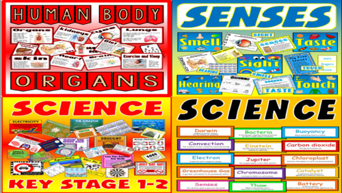 *SCIENCE BUNDLE* DISPLAY KEY WORDS, ACTIVITIES, SENSES, HUMAN BODY, BIOLOGY - KEY STAGE 1-2