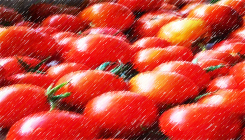 Healthy Eating Two Bundle