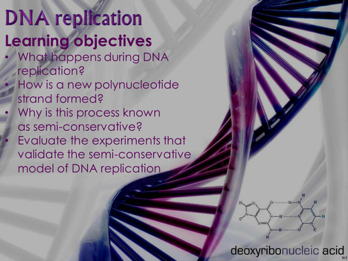 AQA AS & A-level Biology (2016 specification). Section 1 Topic 2: Nucleic acids. 2 DNA replication