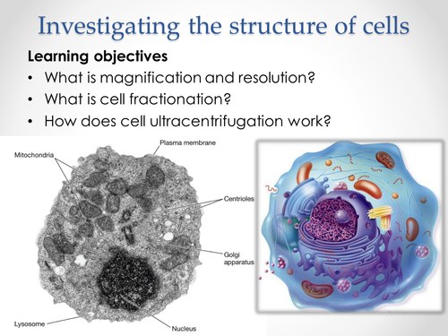 AQA AS & A-level Biology (2016 specification). Section 2 Topic 3: Cells. 1 Investigating  structure