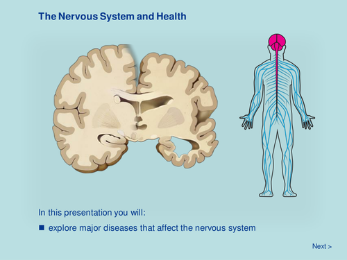 The Nervous System and Health