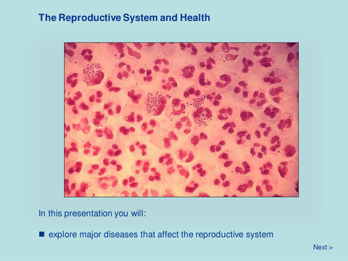 The Reproductive System and Health