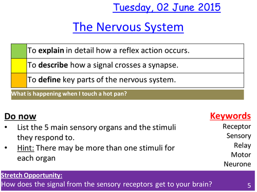 Nervous system and immune system lesson / revision lesson