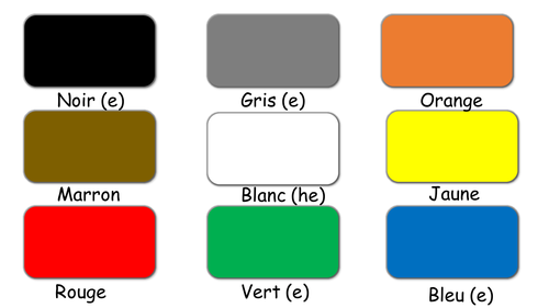 Les Parties du Corps et les Couleurs - body parts and colours lesson powerpoint