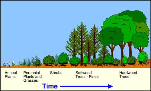 AQA A-level Biology (2016 specification). Section 7 Topic 19: Populations