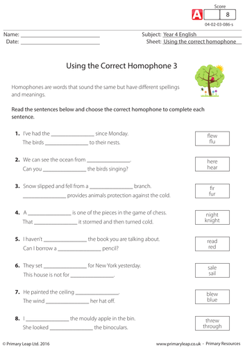 English Worksheet: Using the Correct Homophone (3)