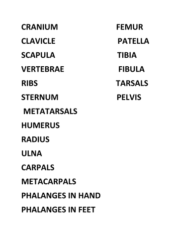 GCSE PE new 2016 specification Edexcel - The Skeletal System (2 lessons)