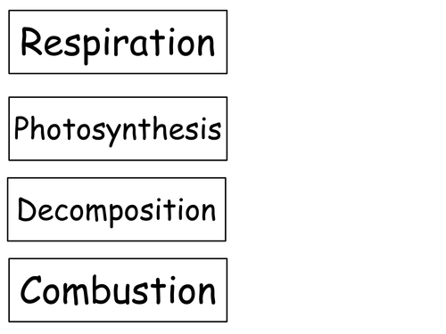 Carbon Cycle