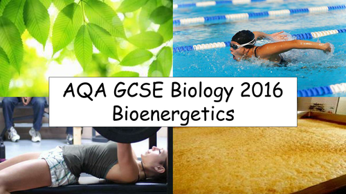 AQA GCSE Biology (New for 2016) - Bioenergetics