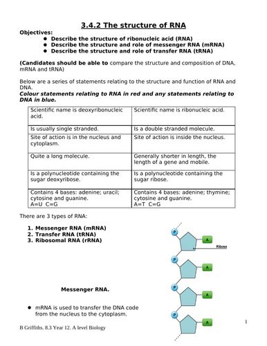 Structure of RNA and DNA. AQA AS 3.1.5.1