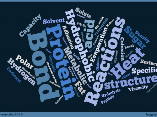 Introduction to biological molecules. AQA AS 3.1.1