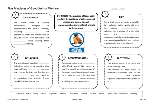 worksheet animal welfare Resources  Gnomes' Care TES Teaching   BTEC  Animal