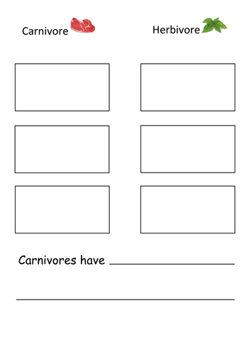 Resources for a lesson on carnivores and herbivores