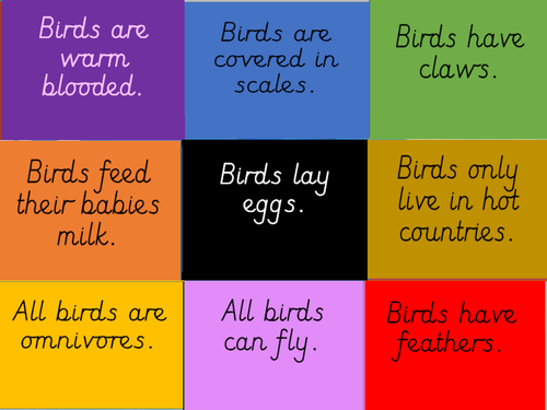 Bird Facts - True or False Catchphrase game. | Teaching Resources
