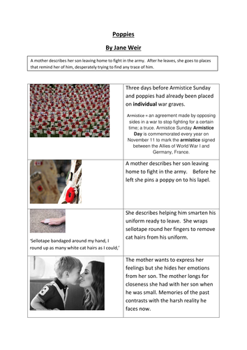 Differentiated version of Poppies
