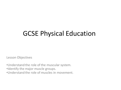 GCSE PE - The Muscular System
