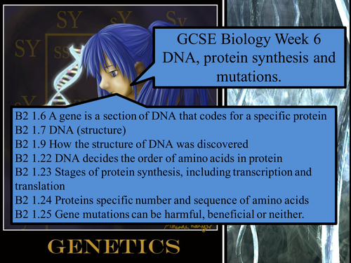 GCSE DNA  and Protein Synthesis