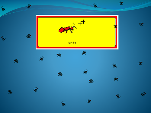 Bugs - Ants