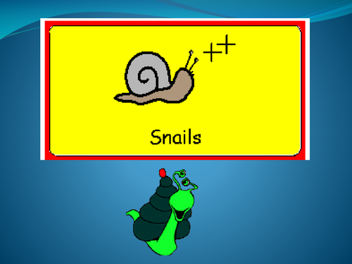 Bugs - Snails