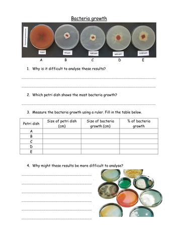 Bacteria growth worksheet