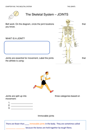 GCSE PE Skeletal system: Joints worksheet