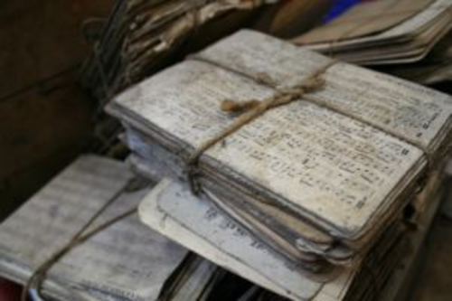 The Extra-Curricular Performance Bundle