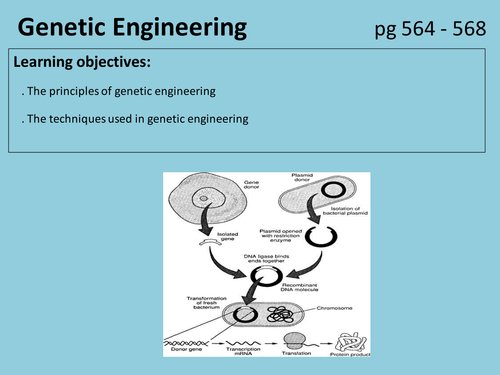 Genetic engineering A2 New OCR spec lesson