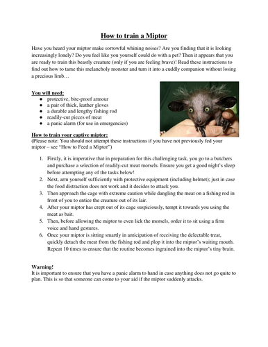 Big Write: Instructions Bundle (How to Train a Miptor) | Teaching Resources