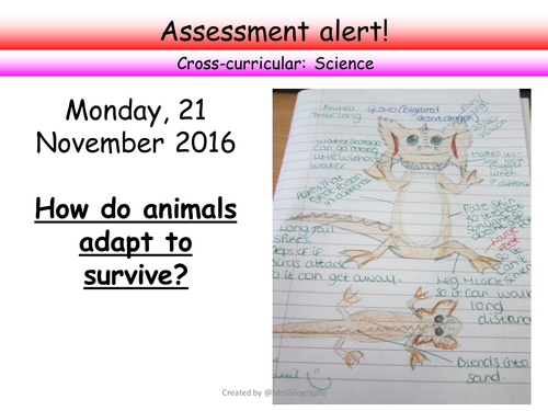 Ecosystem assessment - How do animals adapt to survive
