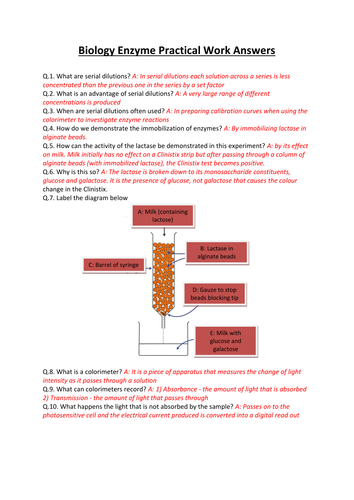 CCEA A-LEVEL BIOLOGY 2016 SPECIFICATION: AS 1: ENZYMES REVISION