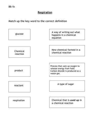 Year 8 Respiration Topic | Teaching Resources