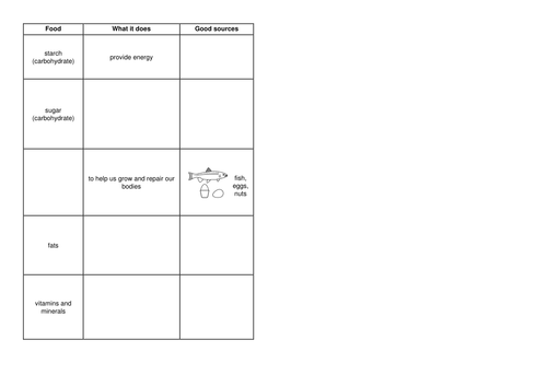 Year 8 Food and Digestion Topic