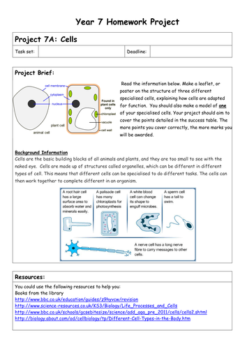 year 7 homework help science